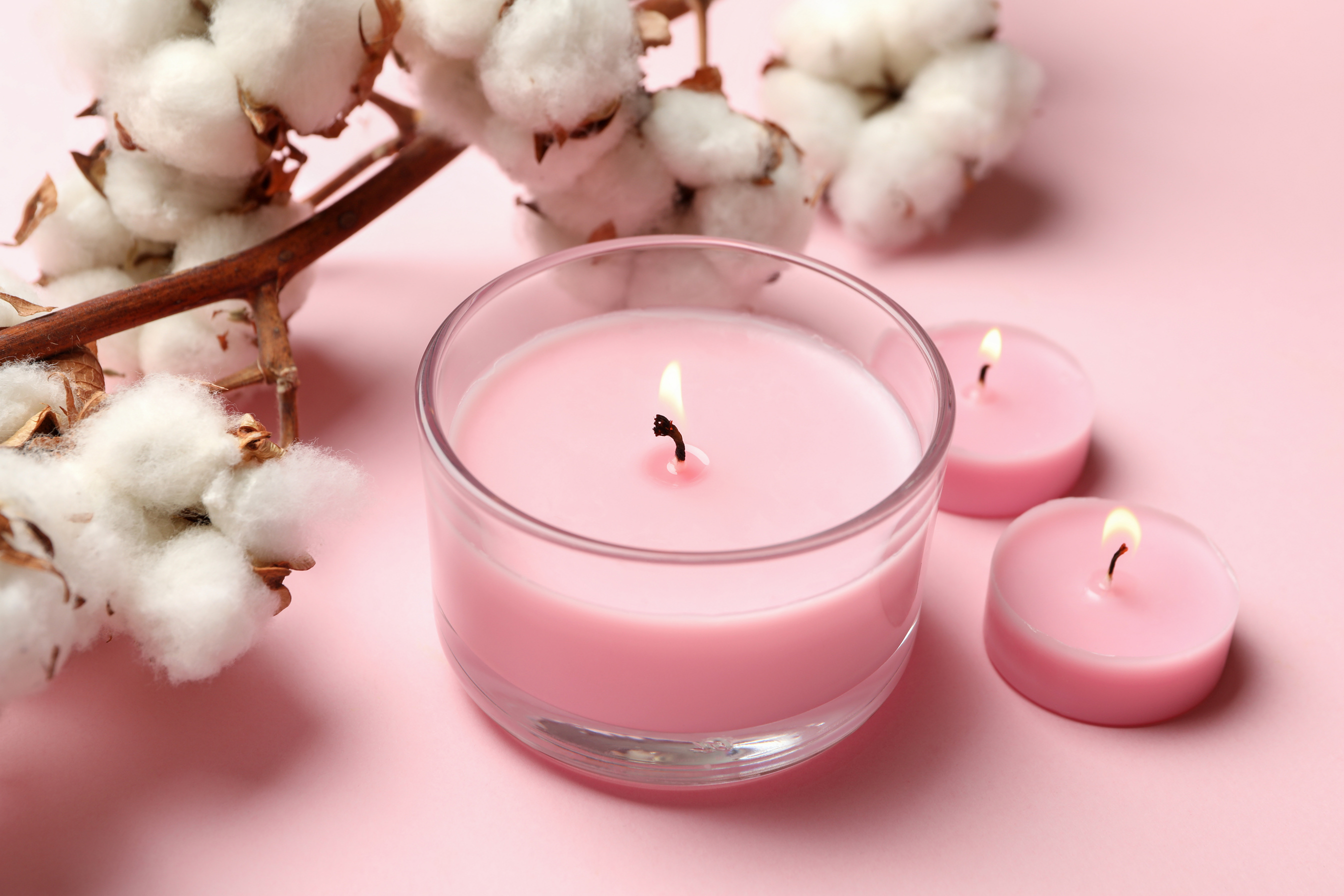 Scented Candles and Branch of Cotton