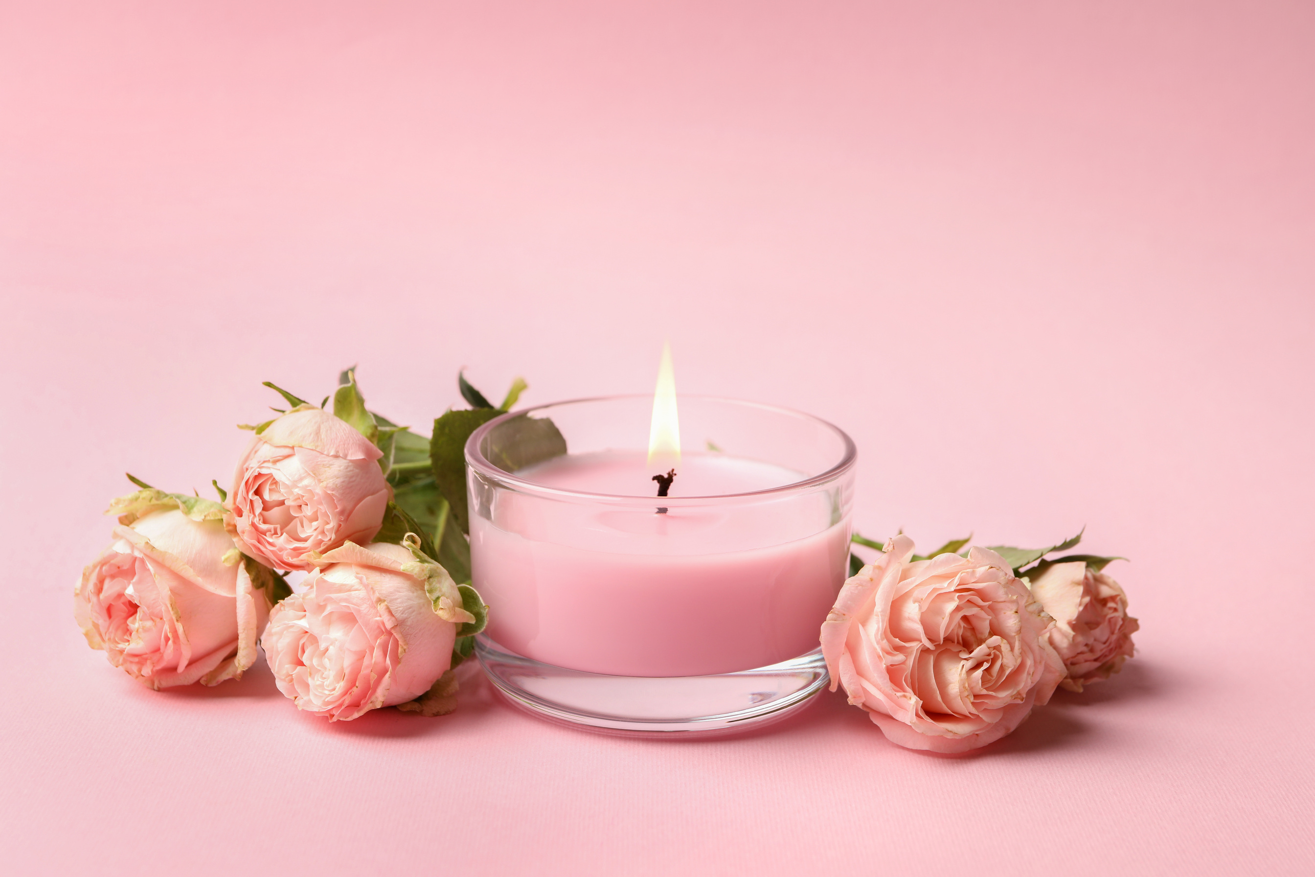 Scented candle and roses on pink background